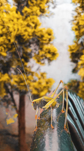Improve your photography skills | Adobe Lightroom