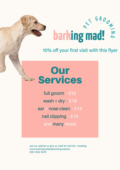 Free Dog Flyer Templates Adobe Express
