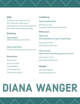 Moderne Stilvolle Lebenslauf Lebenslauf Vorlage Stock Vektor Art