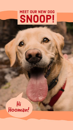 Free Customizable Dog Templates Adobe Spark