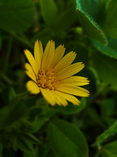 Improve your photography skills | Adobe Lightroom