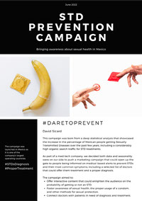Campaign example pdf