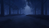 forest_night