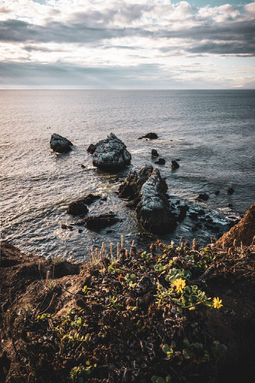 mori from Hanson's Lightroom gallery