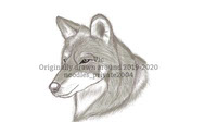 Gray wolf digital sketch