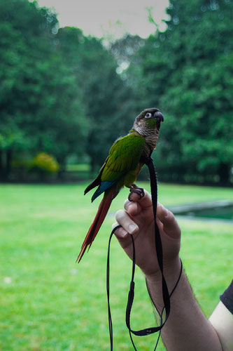 Improve your photography skills | Adobe Lightroom