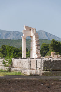 Epidarius 7