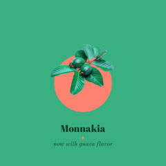 Free Customizable Juice Templates Adobe Spark