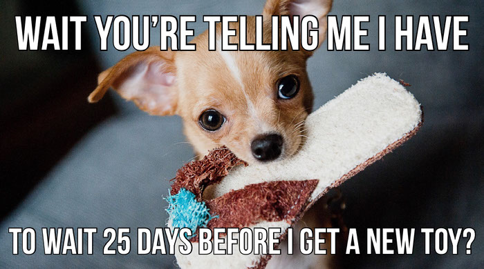 Create Your Own Dog Memes For Free Adobe Spark